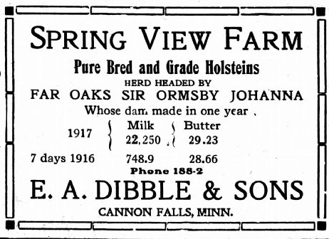 Black and white newspaper ad reading: 'Spring View Farm Pure Bred and Grade Holsteins Herd Headed By Far Oaks Sir Ormsby Johanna' with information on milk and cream production; 'Phone 188-2 E. A. Dibble & Sons Cannon Falls, Minn.'